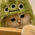 Avatar of Sadia Ahmed